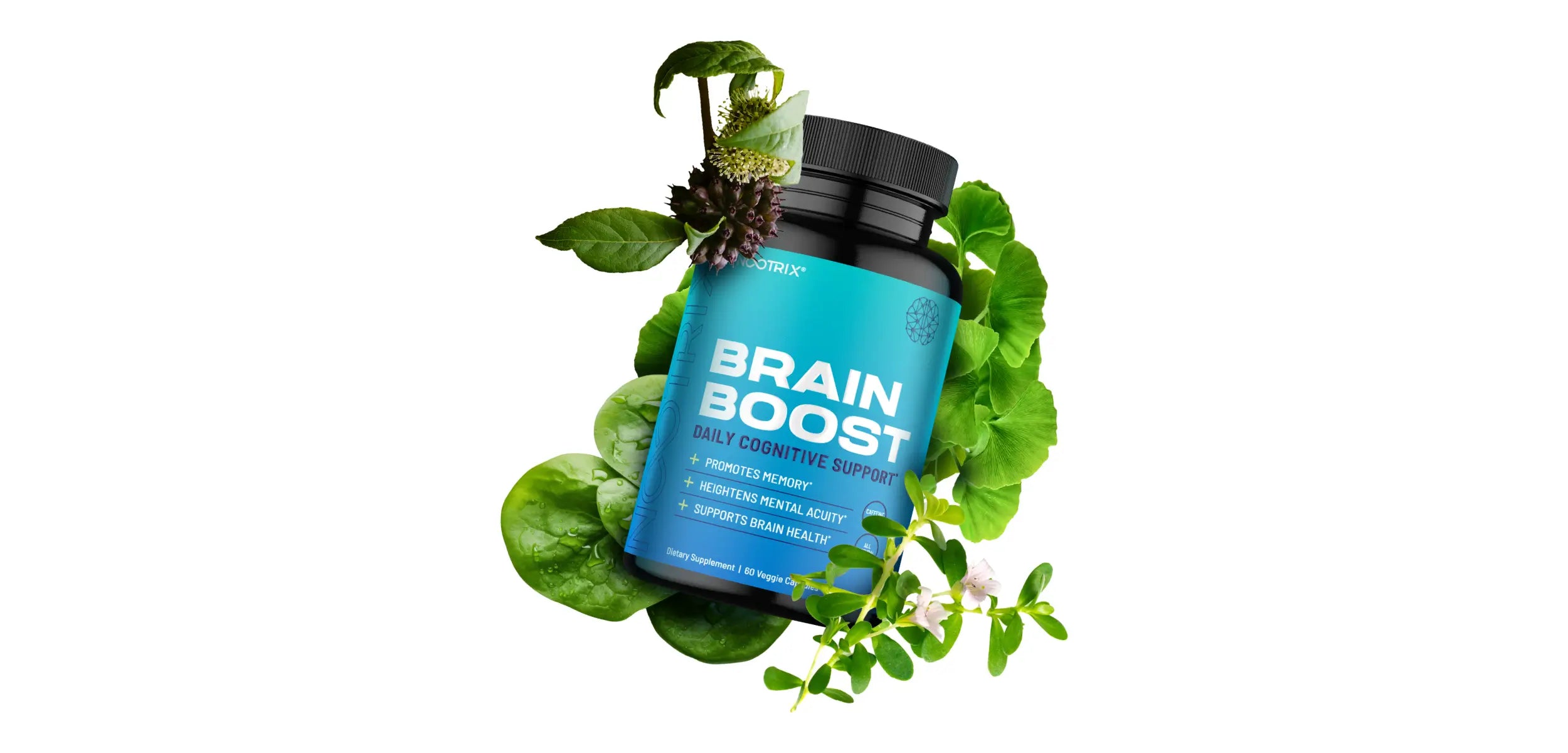 Nootrix Brain Boost Botanicals Desktop