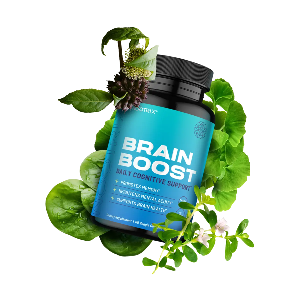 Nootrix Brain Boost Botanicals