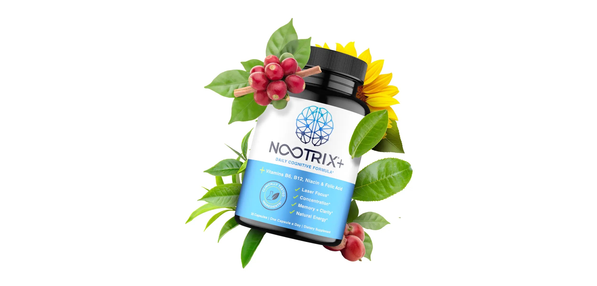 Nootrix Brain Plus Botanicals Desktop