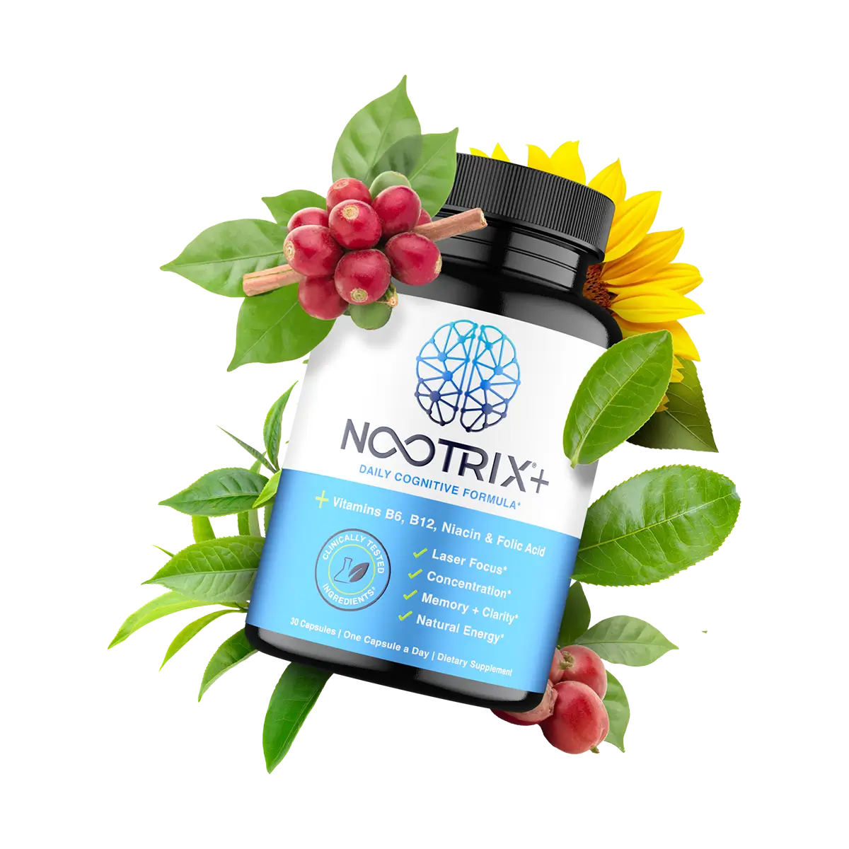 Nootrix Brain Plus Botanicals