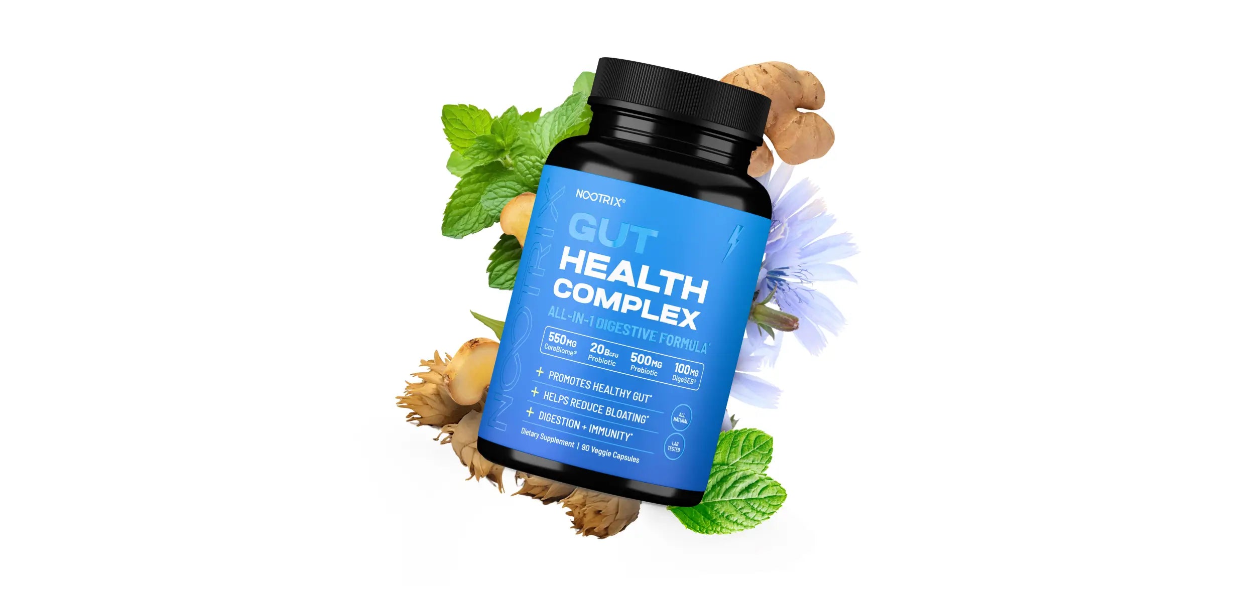 Nootrix Gut Health Complex Botanicals Desktop