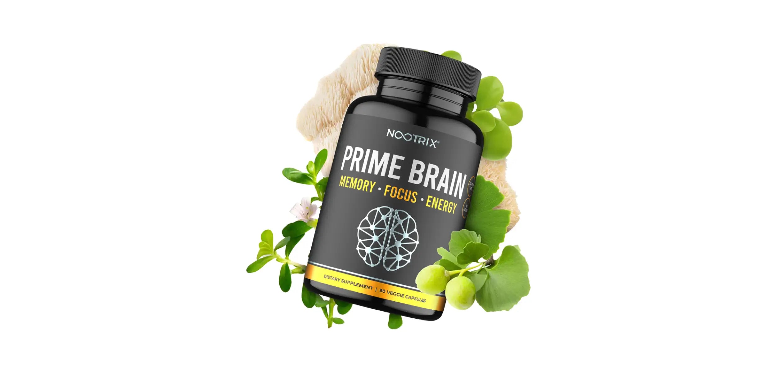 Nootrix Prime Brain Botanicals Desktop New