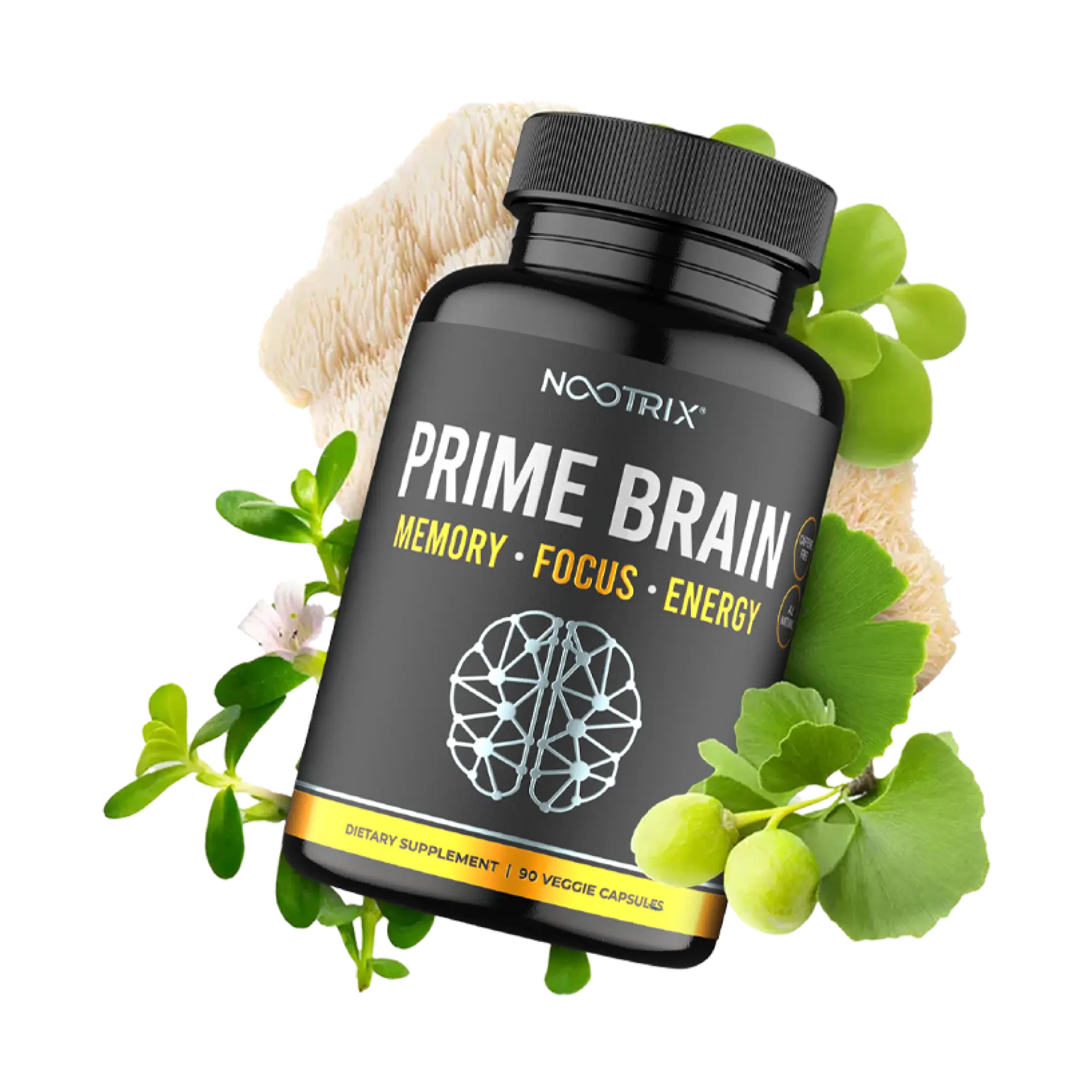 Nootrix Prime Brain Botanicals New