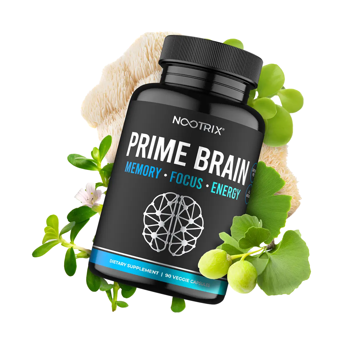 Prime Brain | Nootrix